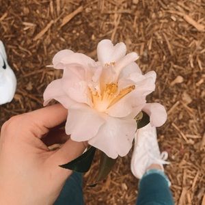 Meet your Posher, Carson